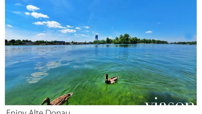 Enjoy Alte Donau