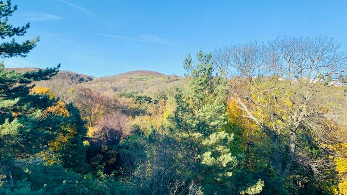 Ausblick Weinberg