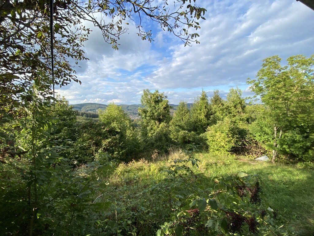 PREISREDUKTION! 973 m² Grundstück in absoluter Grünruhelage 1140 Wien ideal für ein Eigenheim ! - Ansicht 2