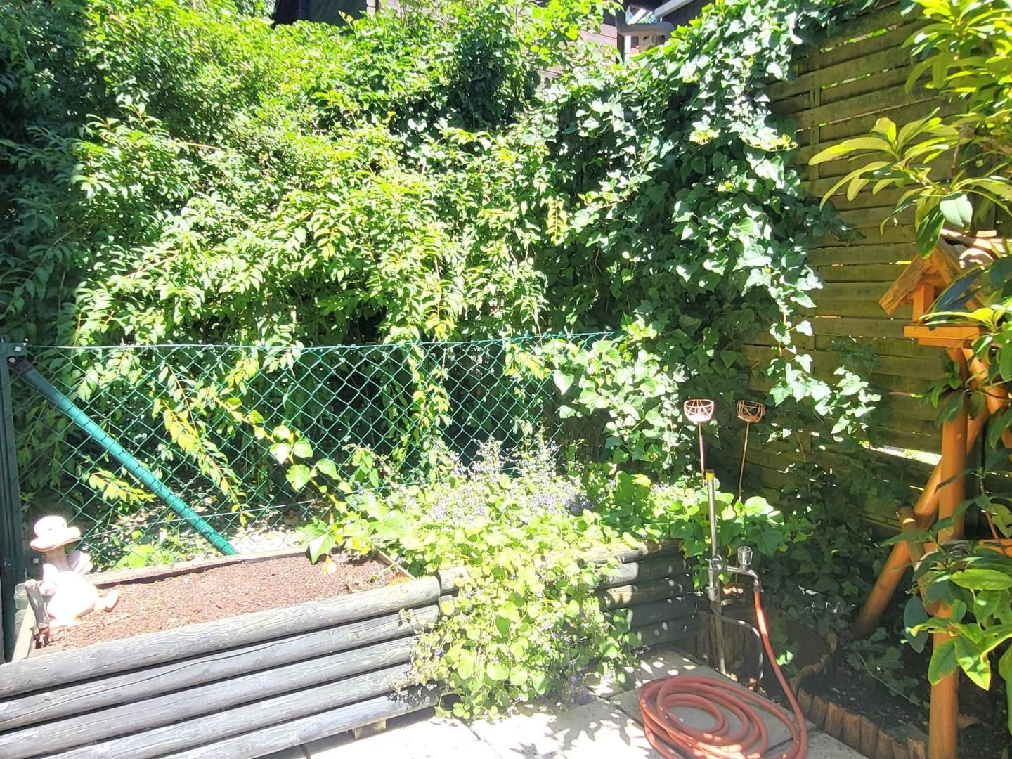 Wohnung – Purkersdorf - Ansicht 2
