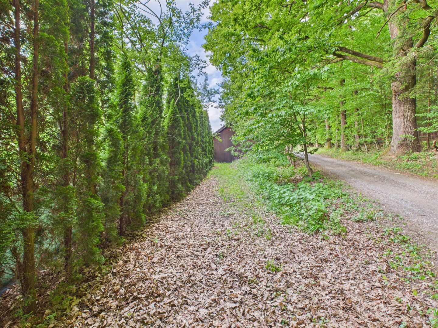 Oase der Ruhe mit Ausbaumöglichkeit - Grundstück für ein Leben im Einklang mit der Natur - Ansicht 2