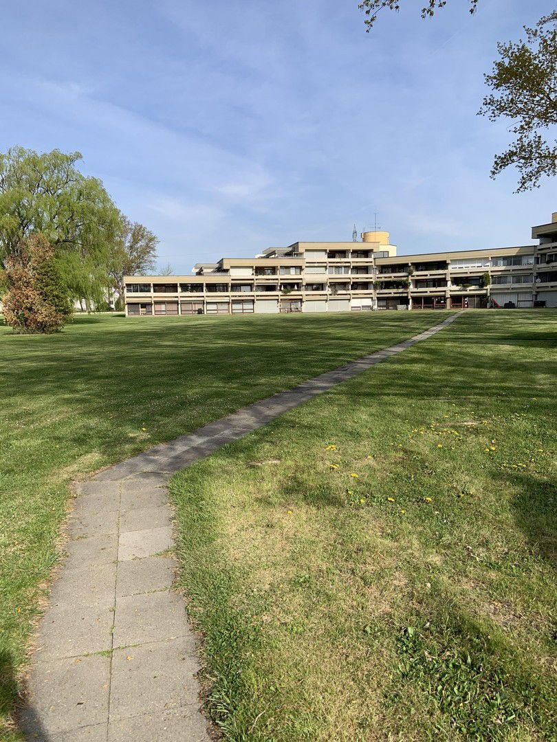 Private kleine Wohnung im Urlaubsparadies Purbach am Neusiedlersee