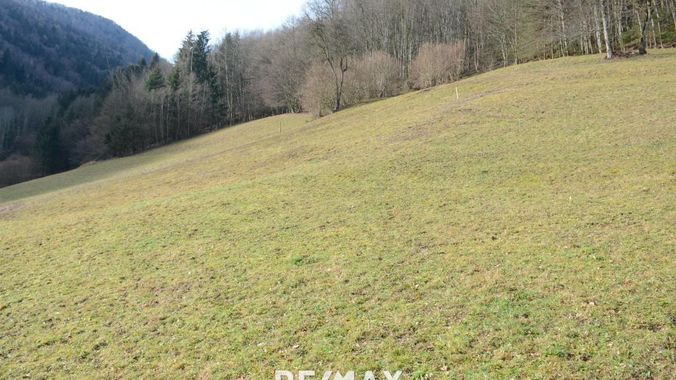 11 Baugrundstücke in der Gemeinde Loich, NÖ