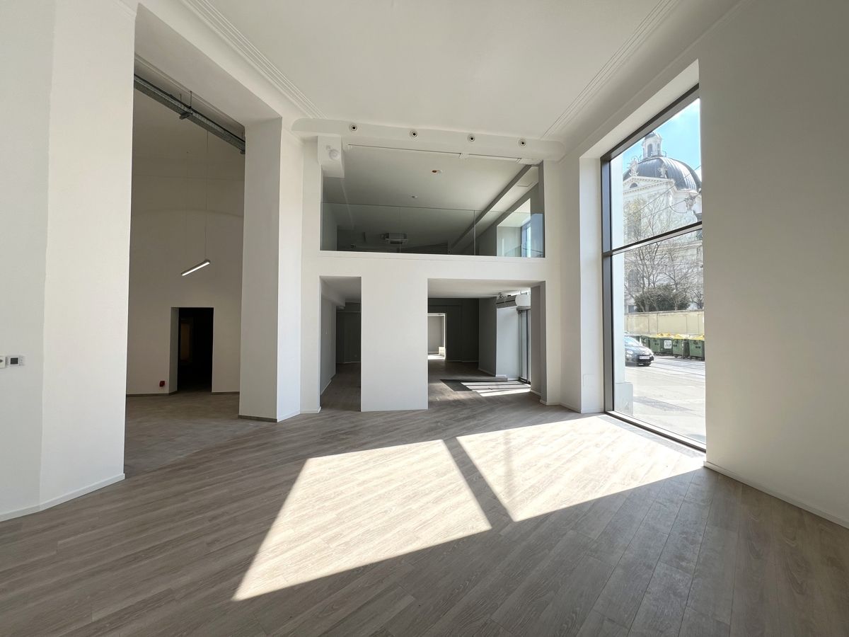 Modernes Loft-Geschäftslokal vis-a-vis Unteres Belvedere - Ansicht 3