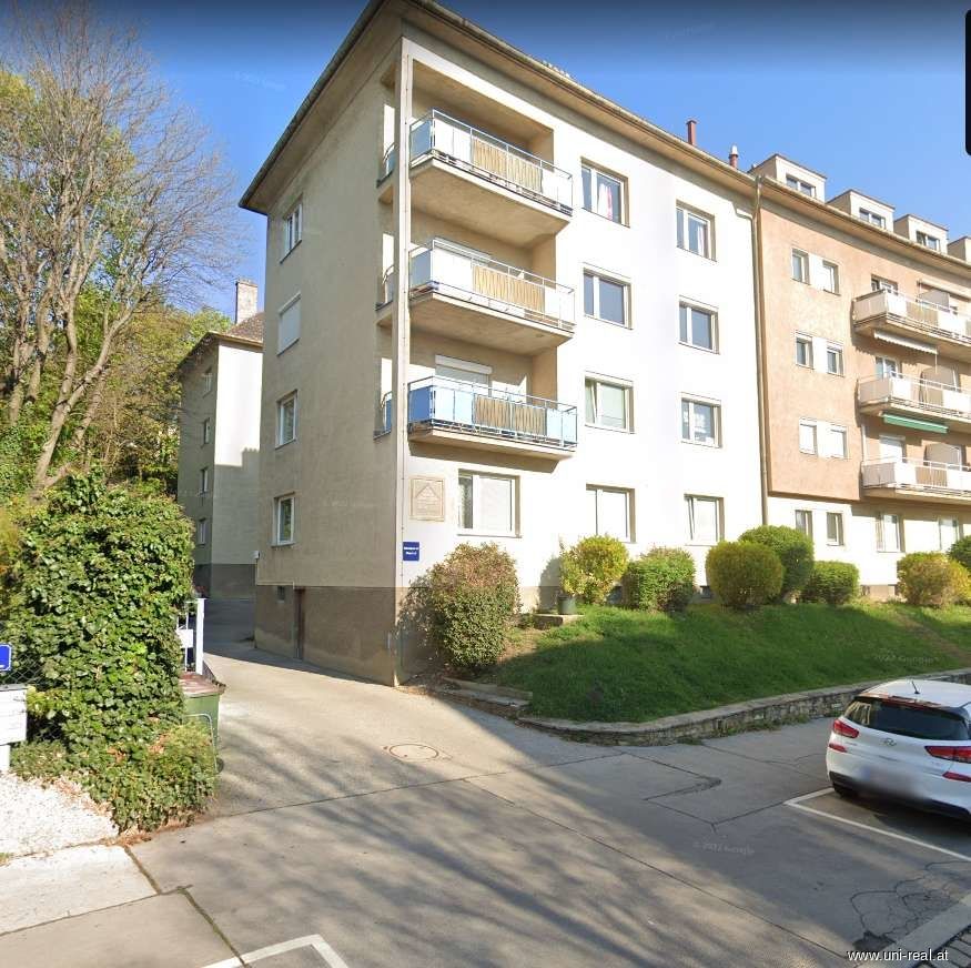 Familienhit auf der Hohen Warte