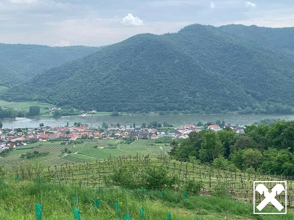 WEINGARTEN IN AUSSICHTSLAGE - WEINGARTEN, LANDWIRTSCHAFTLICHE FLÄCHEN - KEIN BAUGRUNDSTÜCK! - Ansicht 2