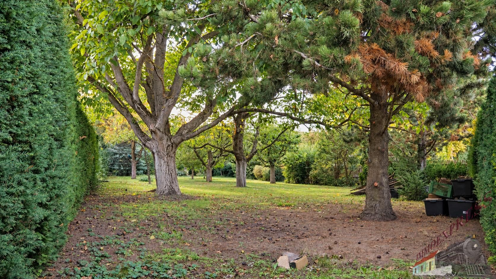 BAUGRUND MIT GARTENCHARAKTER - 781 m² IN WULLERSDORF - Ansicht 4