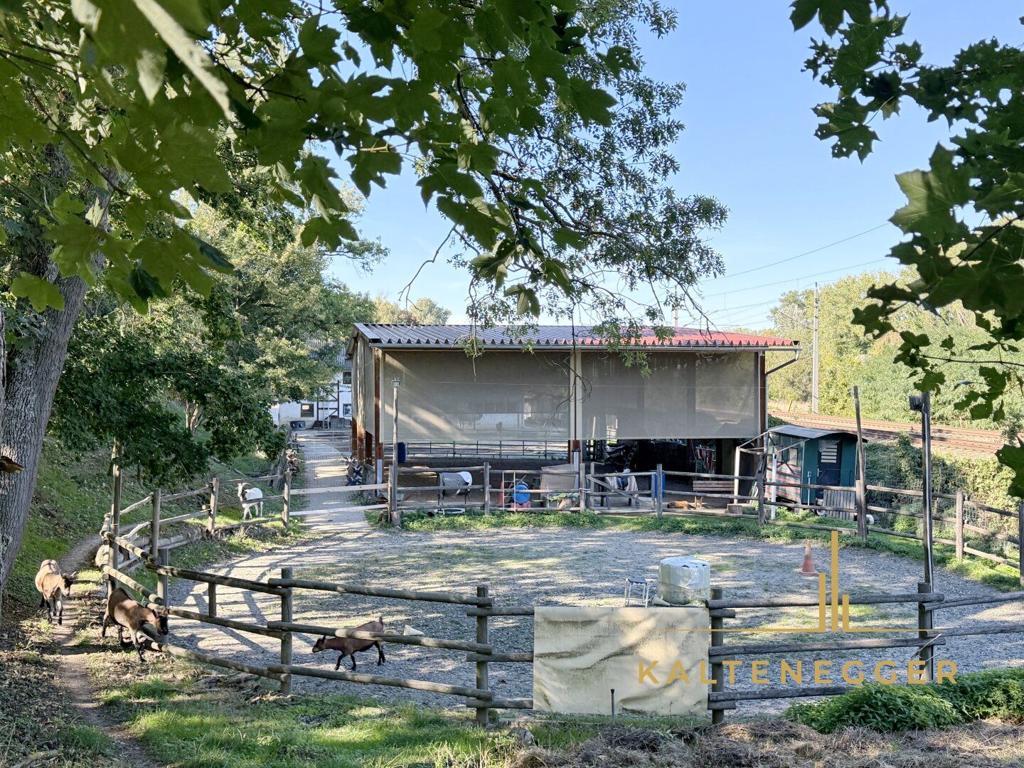 SONJAS RANCH - Pferdehof mit Teich auf Pachtgrund - Mehr