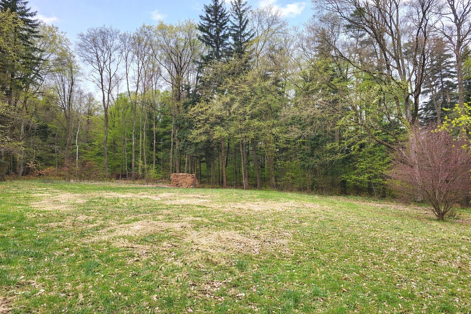 GRÜNLAND IM RAUM BÖHEIMKIRCHEN