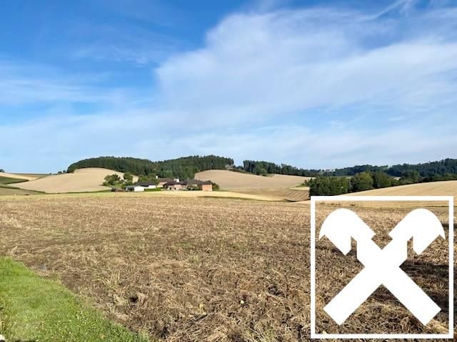Baugrund in Naturlage mit Fernblick - Ansicht 4