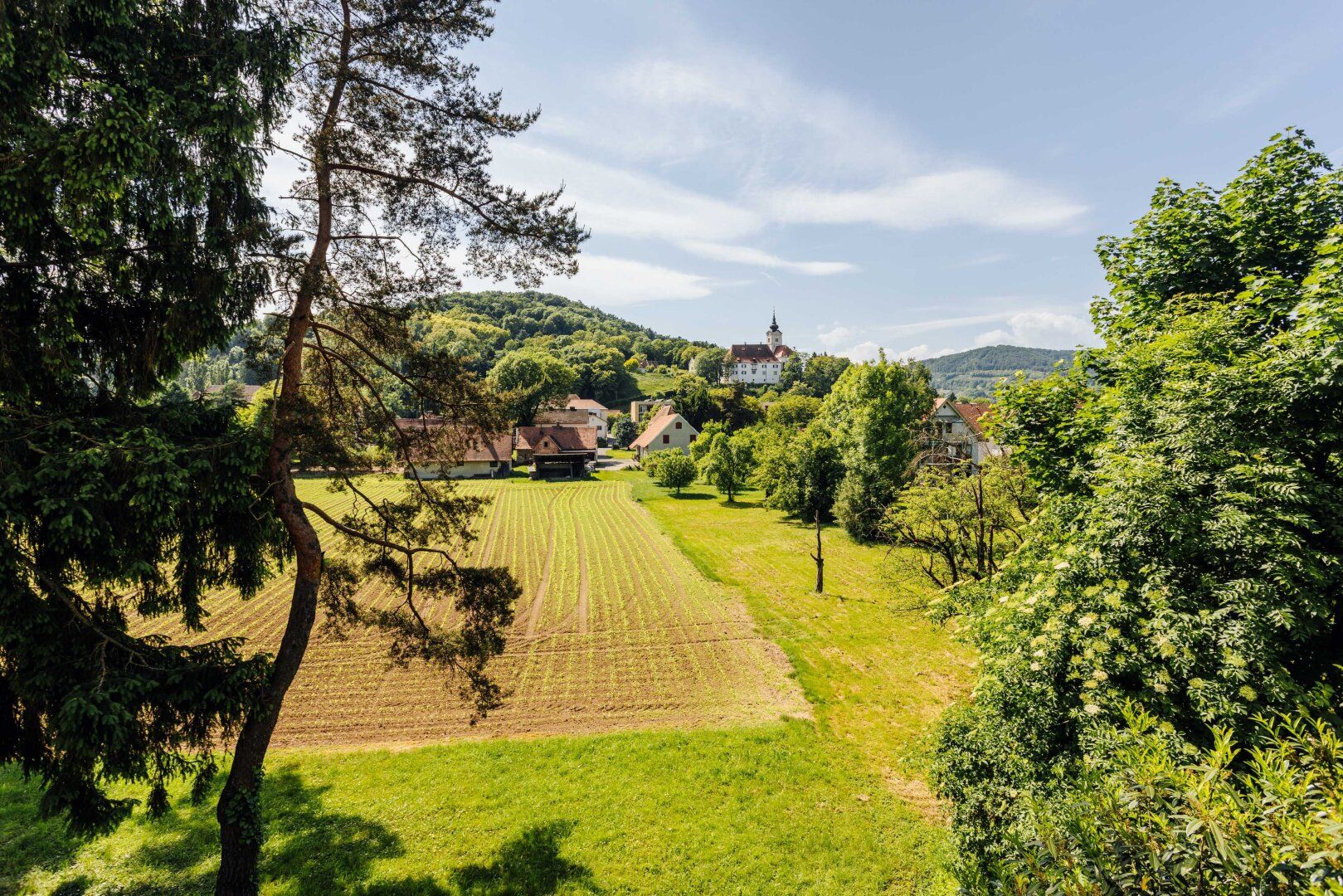 Ihr neues Zuhause mit Blick ins Grüne - ruhig, gut angebunden und leistbar!