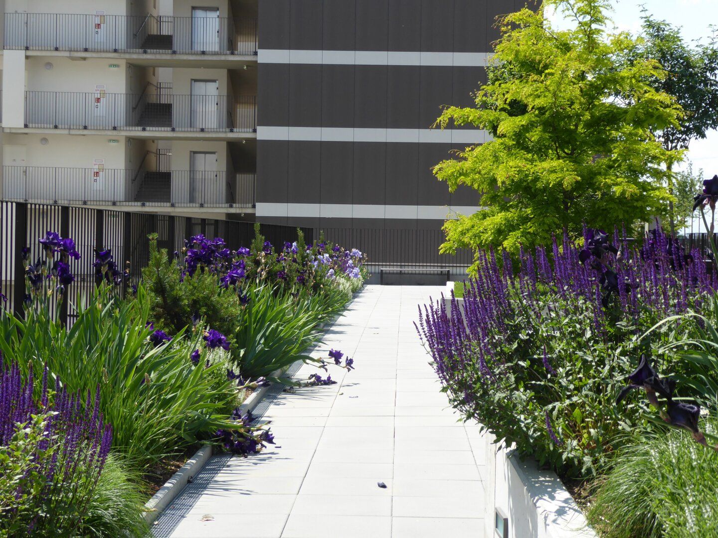 Brauquartier - New Lifestyle