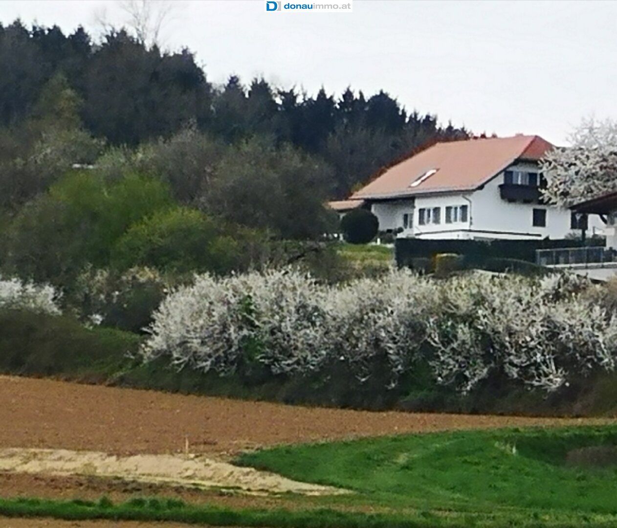 Haus – Bad Waltersdorf - Ansicht 5