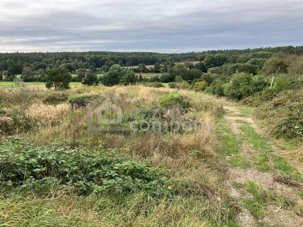 Rarität - Grund mit Teilwidmung Reitplatz/Reitanlage - 10.360 m² um nur 140.000 €! - Ansicht 4