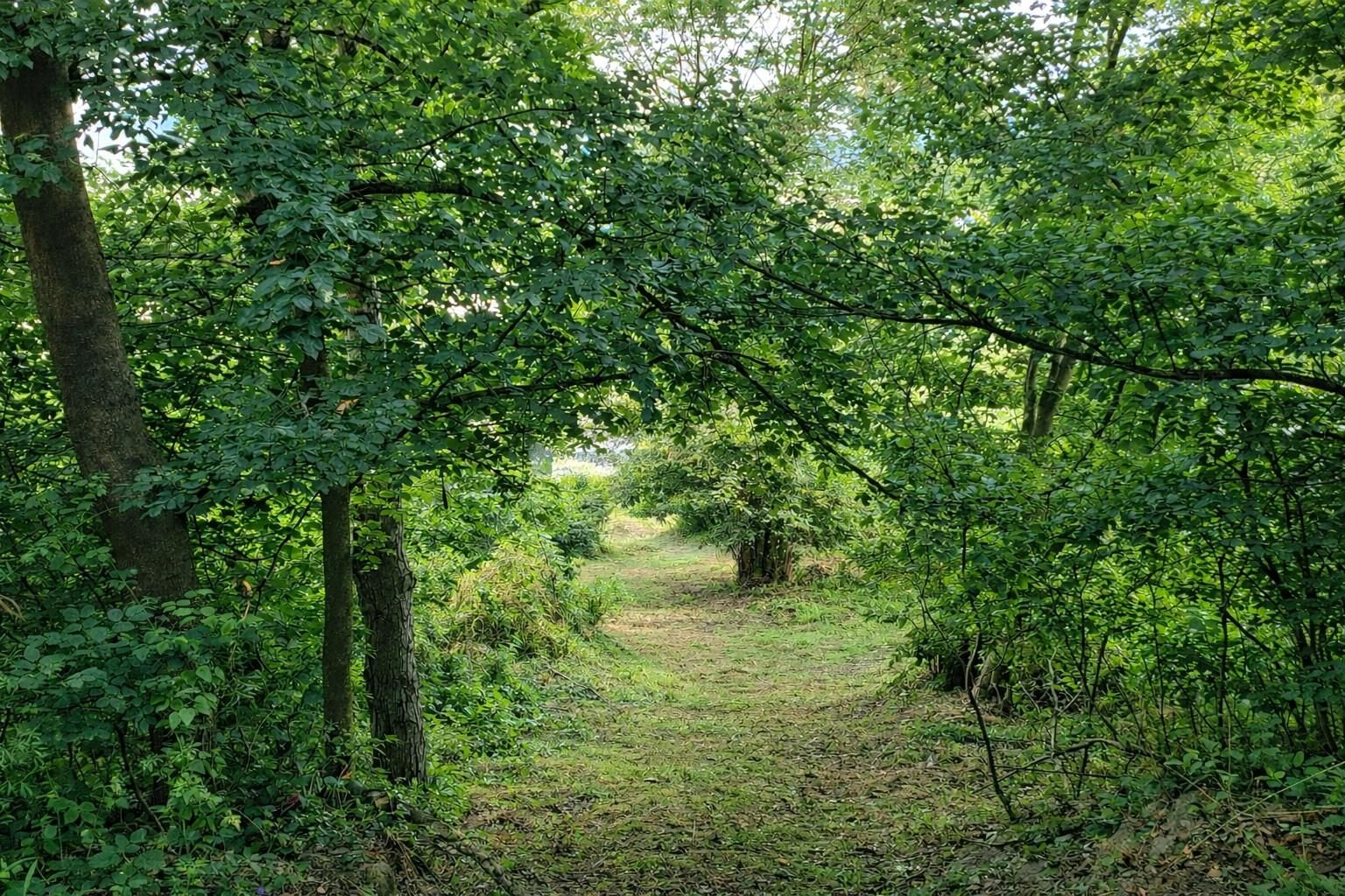 Natur vor der Haustür - Grundstück mit Weitblick und Grünlandanschluss - Ansicht 4