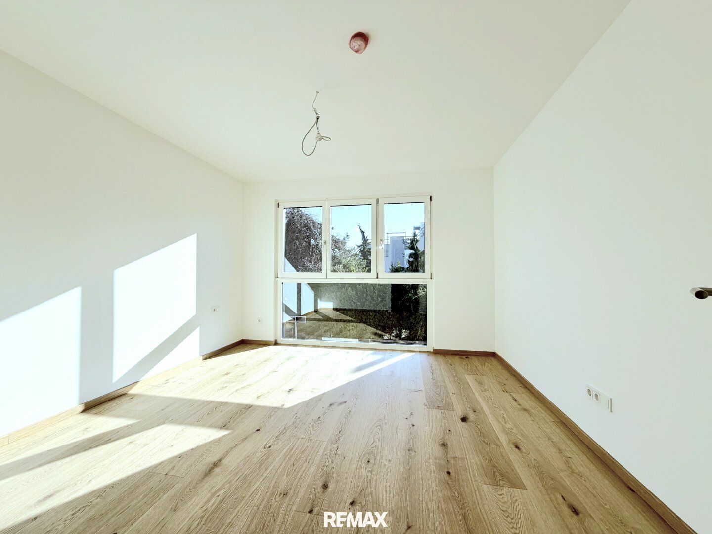 Haus – Wien - Mehr