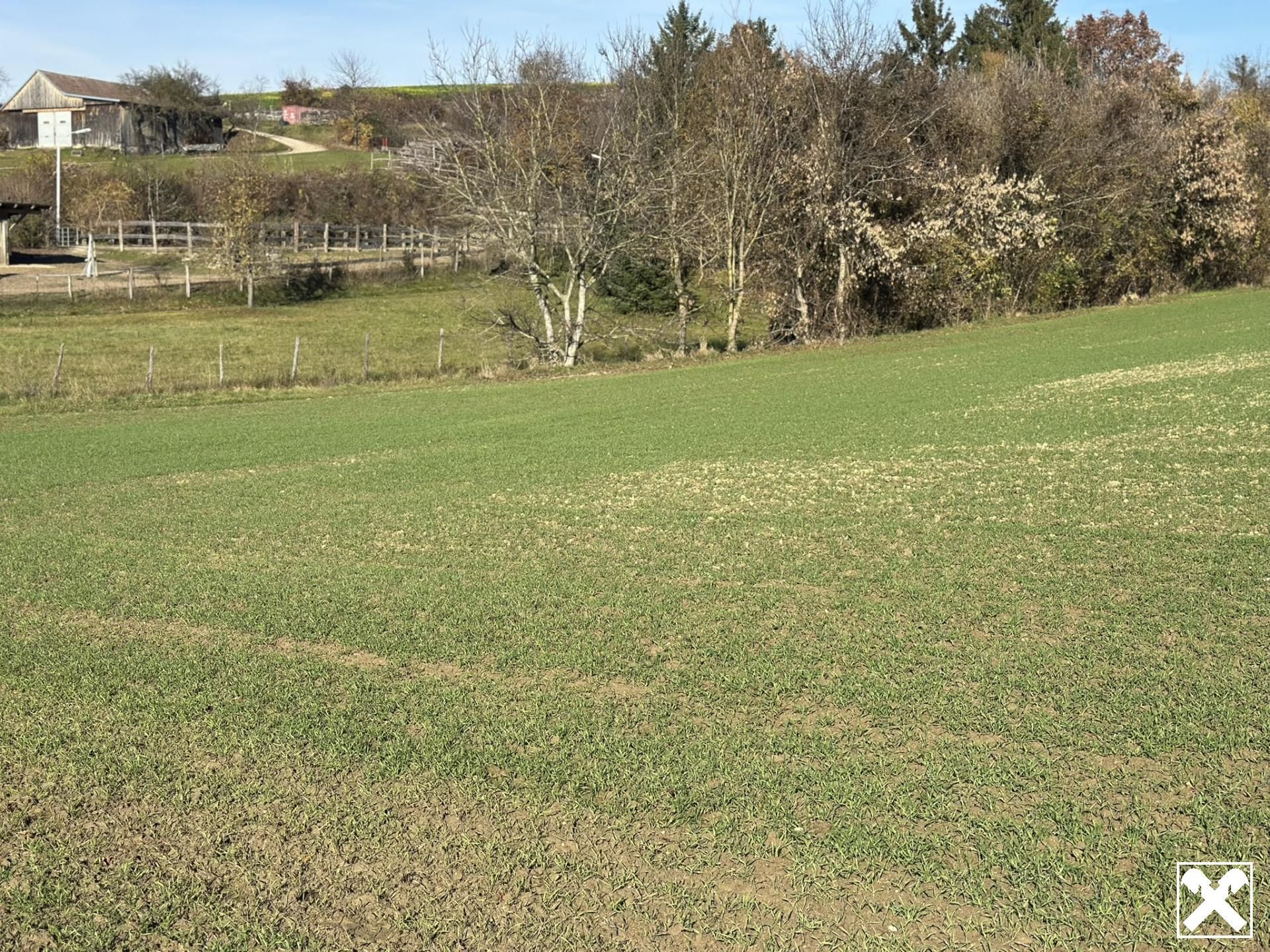 SONNIGE LEBENSQUALITÄT AM LAND FÜR IHR PRIVATES EINFAMILIENHAUS OHNE BAUZWANG - Ansicht 2