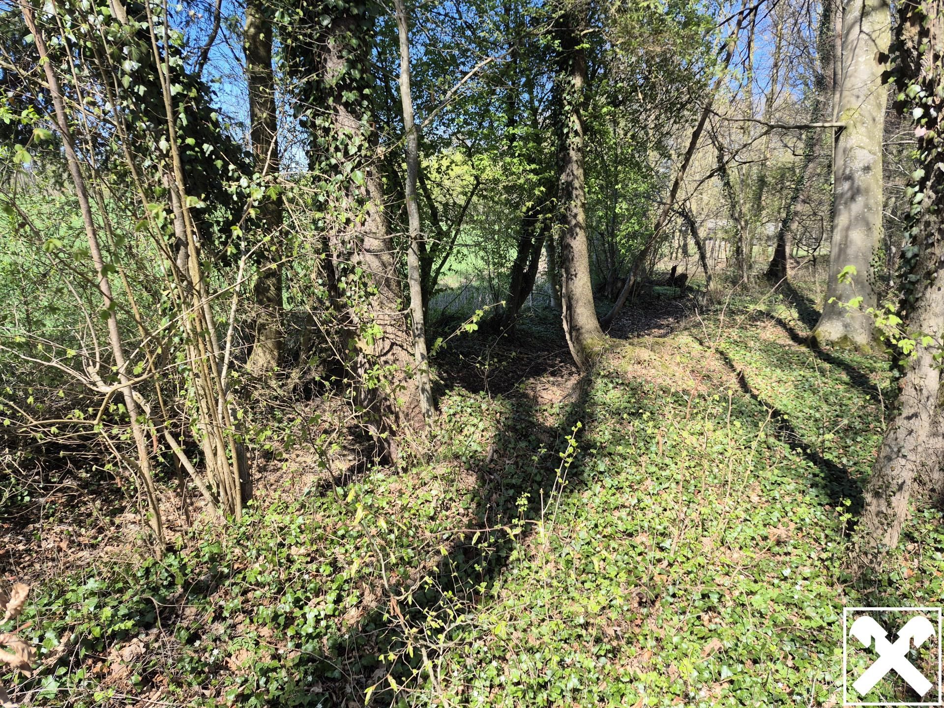 landwirtschaftlicher Grund mit Wald - Mehr
