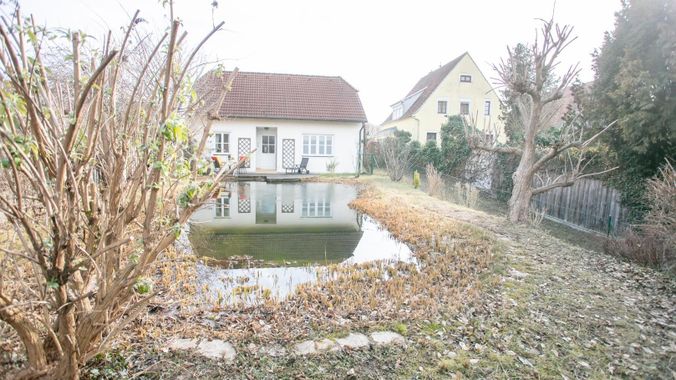 Blick Richtung Haus und Zufahrt