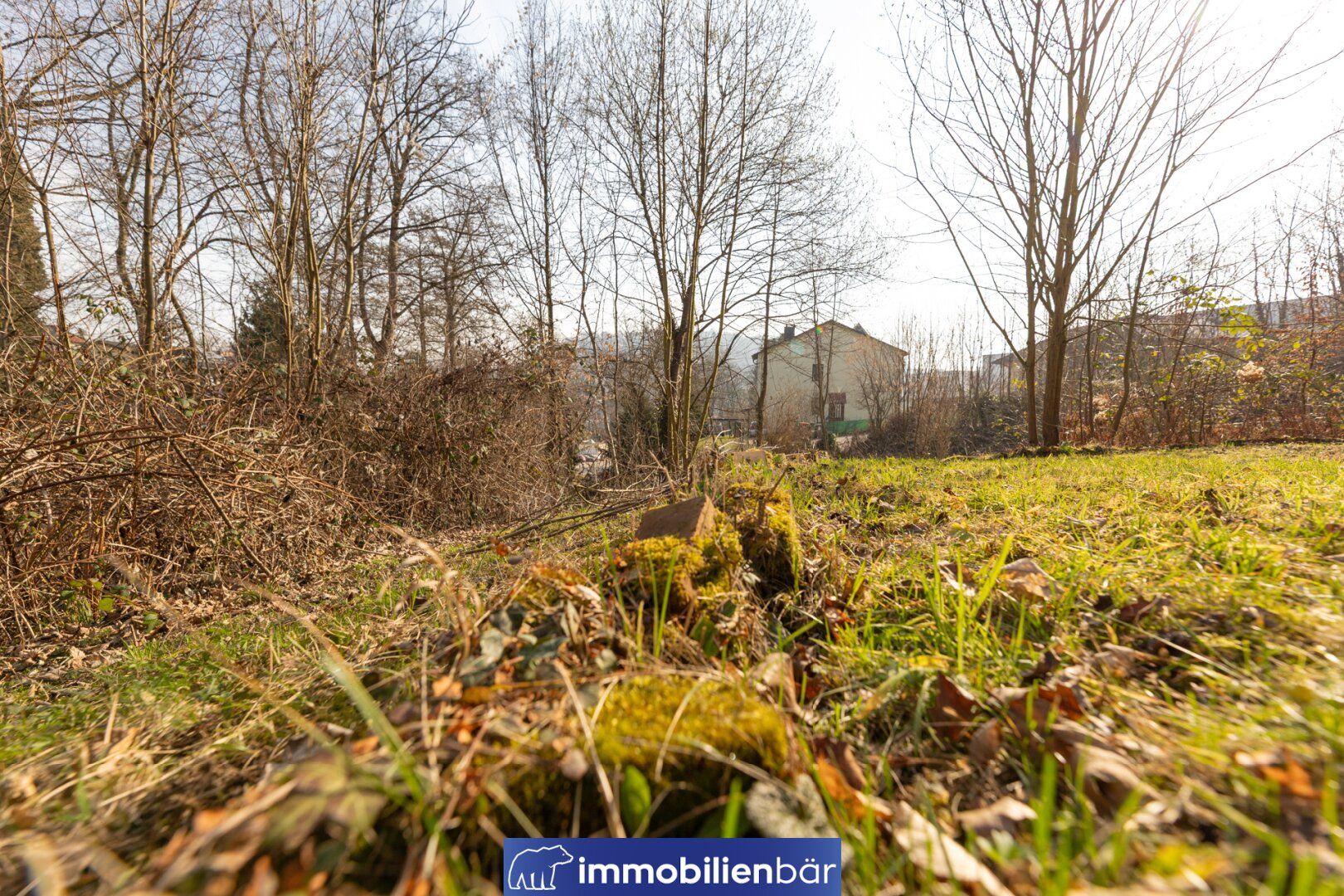 Attraktives Baugrundstück im Zaubertal Leonding mit Bestandsgebäude & Entwicklungspotenzial - Ansicht 5