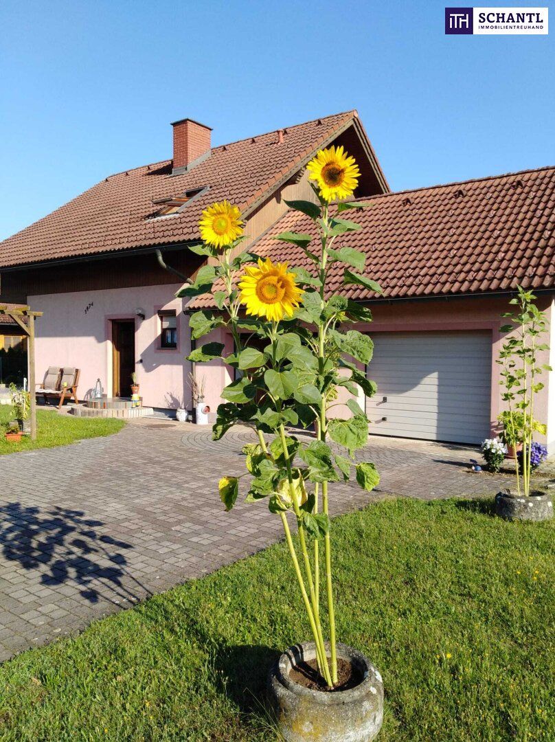Ihr neues Zuhause in Gralla - Leicht sanierungsbedürftiges Einfamilienhaus mit viel Platz, Ruhe und Möglichkeiten