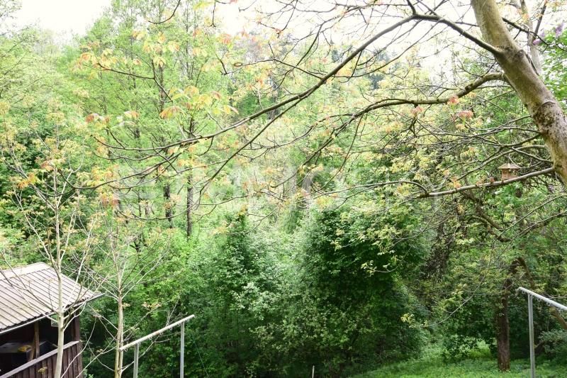 Beste Lage Petrinum - Renovierungsbedürftige Villa in Sackgasse