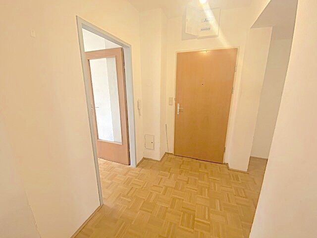 NEUER PREIS! PROVISIONSFREI VOM EIGENTÜMER! 5-ZIMMER GARTENWOHNUNG BEIM MARCHFELDKANAL! - View 6