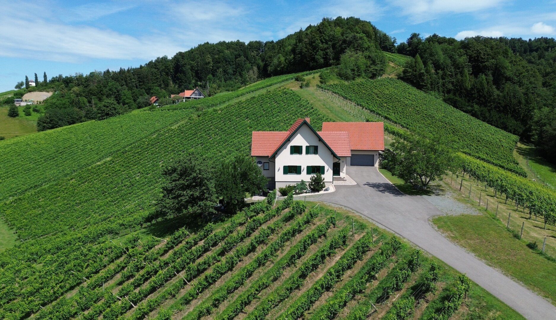 Haus – Leutschach an der Weinstraße - Ansicht 3