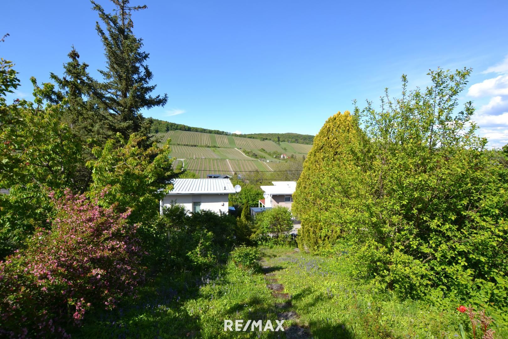 Kleingartenidylle mit Weinbergblick - nettes Sommerhäuschen mit Potenzial für Neubau! Digitales Angebotsverfahren!