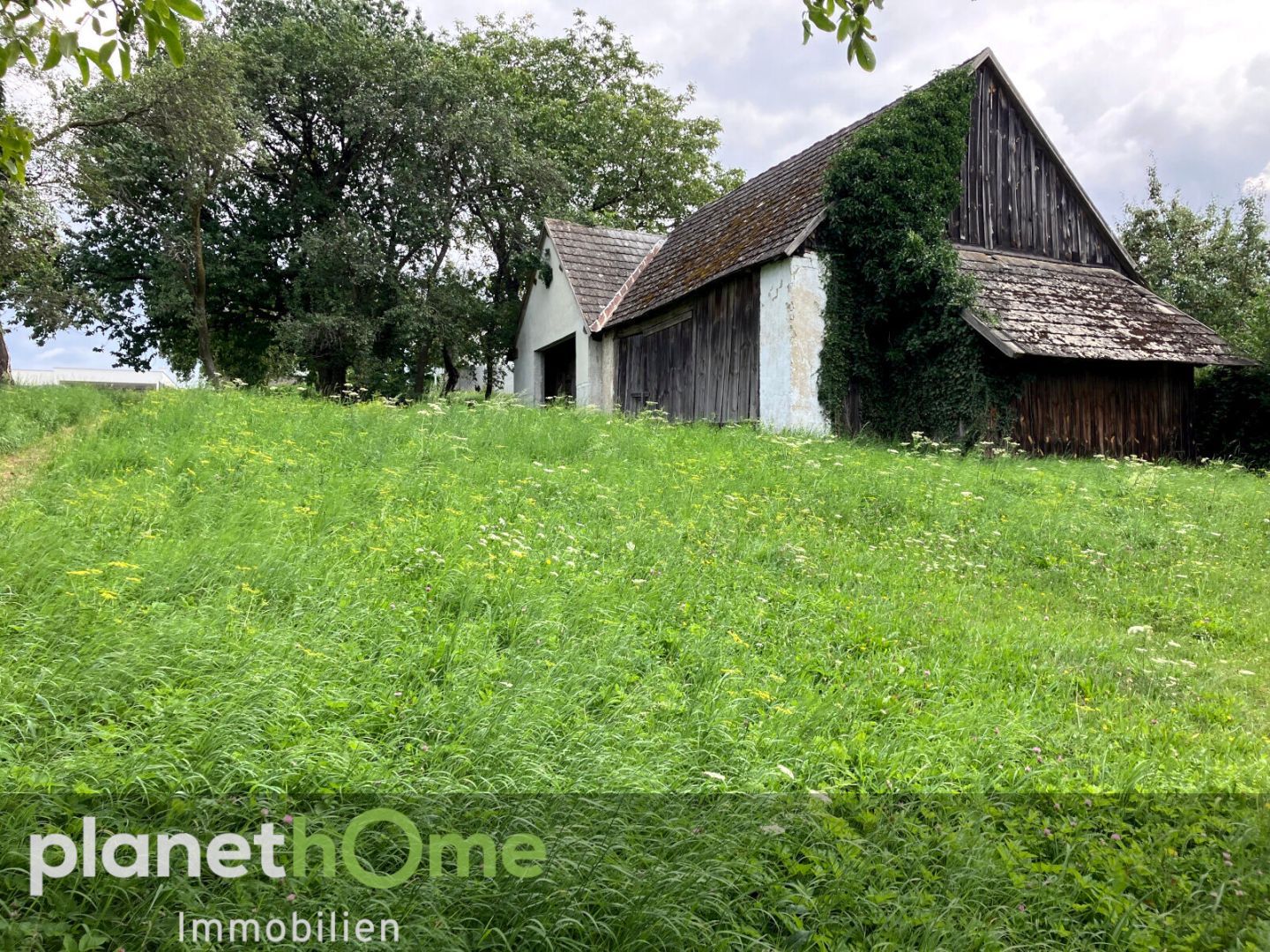Bauland mit landwirtschaftlichem Gebäude und Altbaumbestand - Mehr