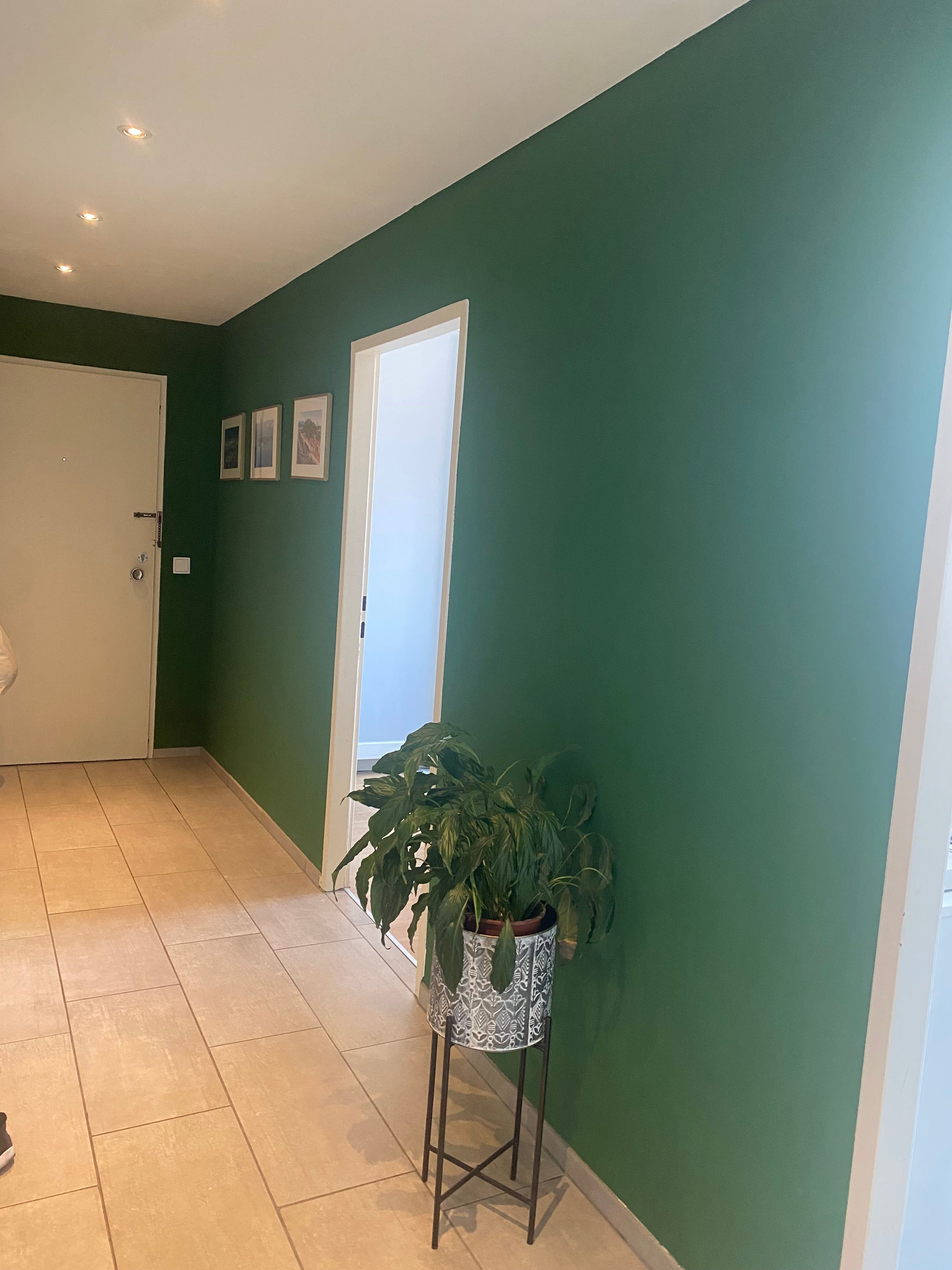Provisionsfrei 3 Zimmerwohnung lichtdurchflutet