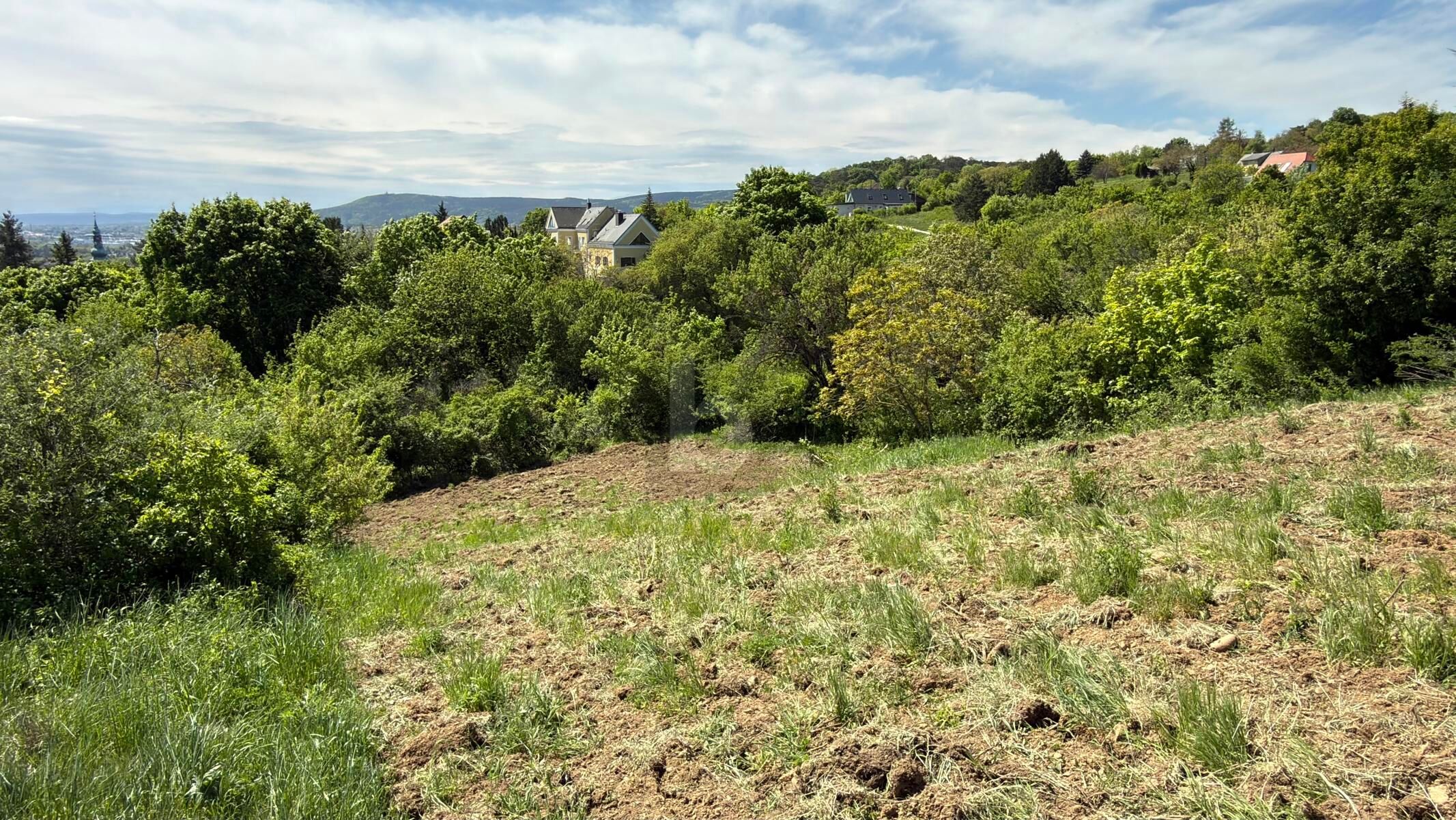 FÜR LANGFRISTIGE ANLEGER IN ORTSRAND-RUHELAGE MIT TOP PANORAMA - Ansicht 2