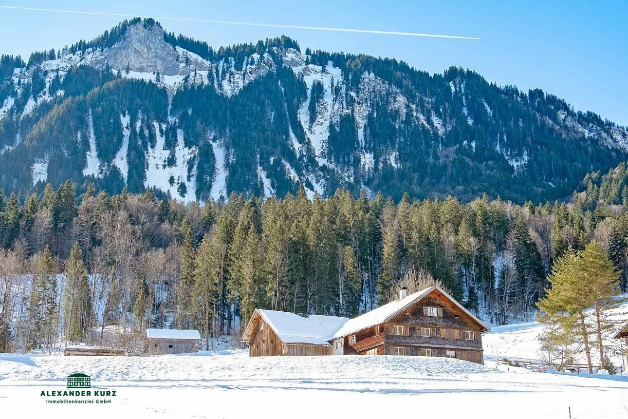 Kleiner Bauernhof im Skigebiet Bregenzerwald, Mellau - Damüls