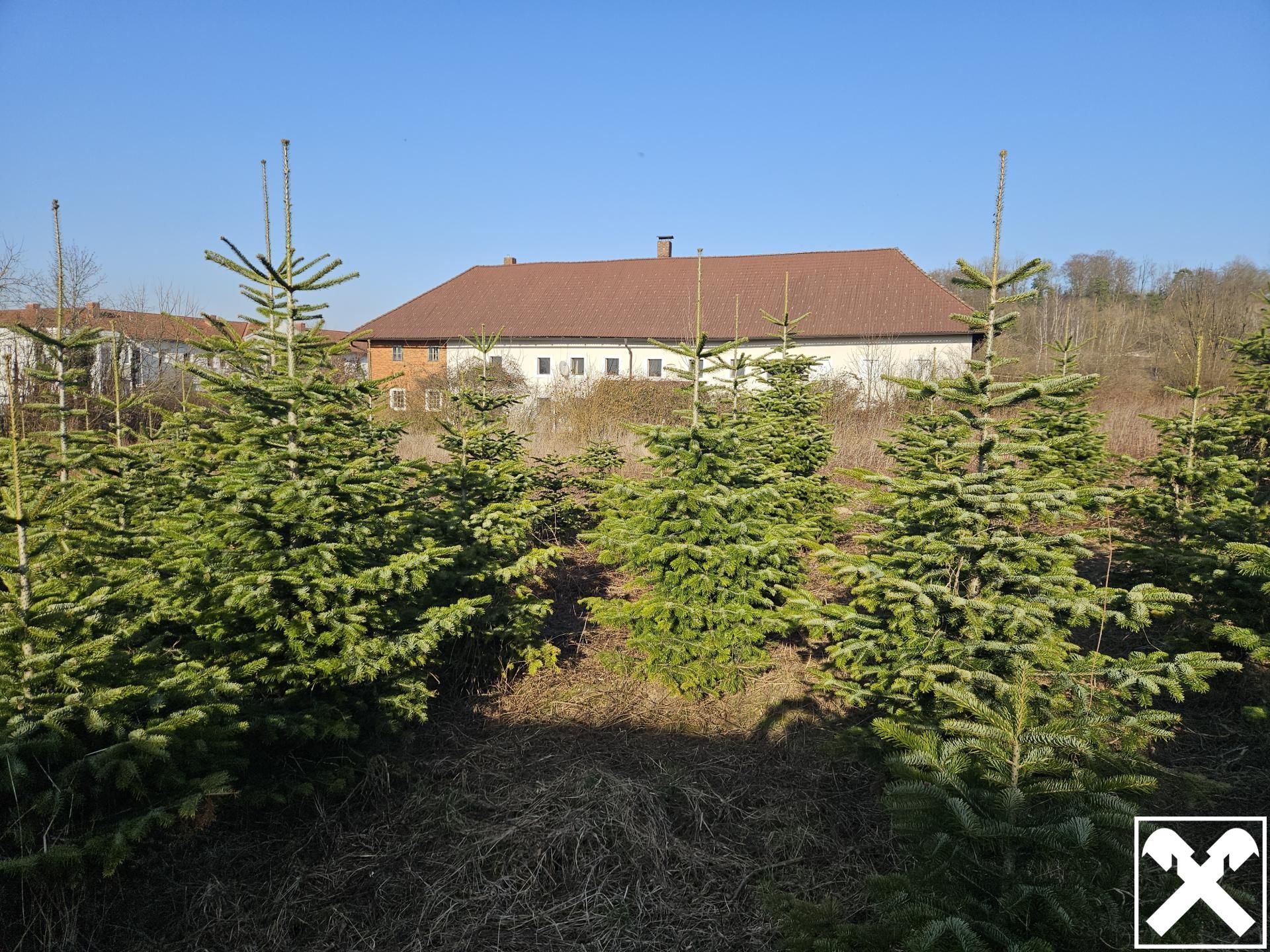 Landwirtschaftliche Flächen & Gutshof - Ansicht 5