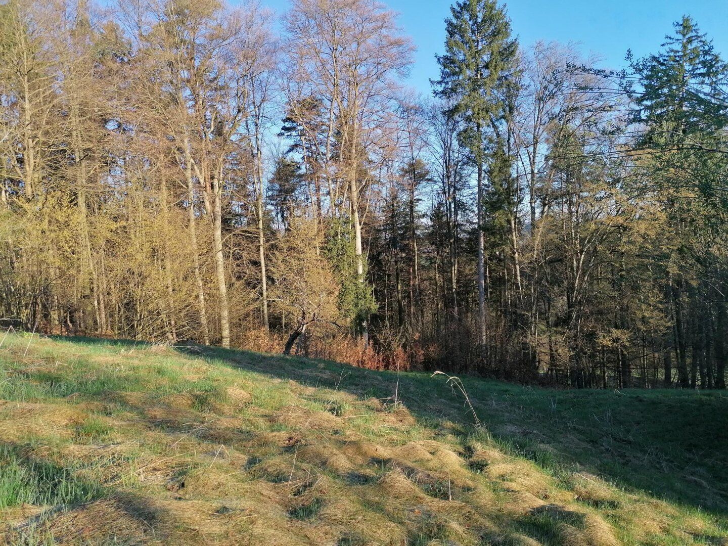 Haus – Sankt Nikolai im Sausal - Ansicht 5