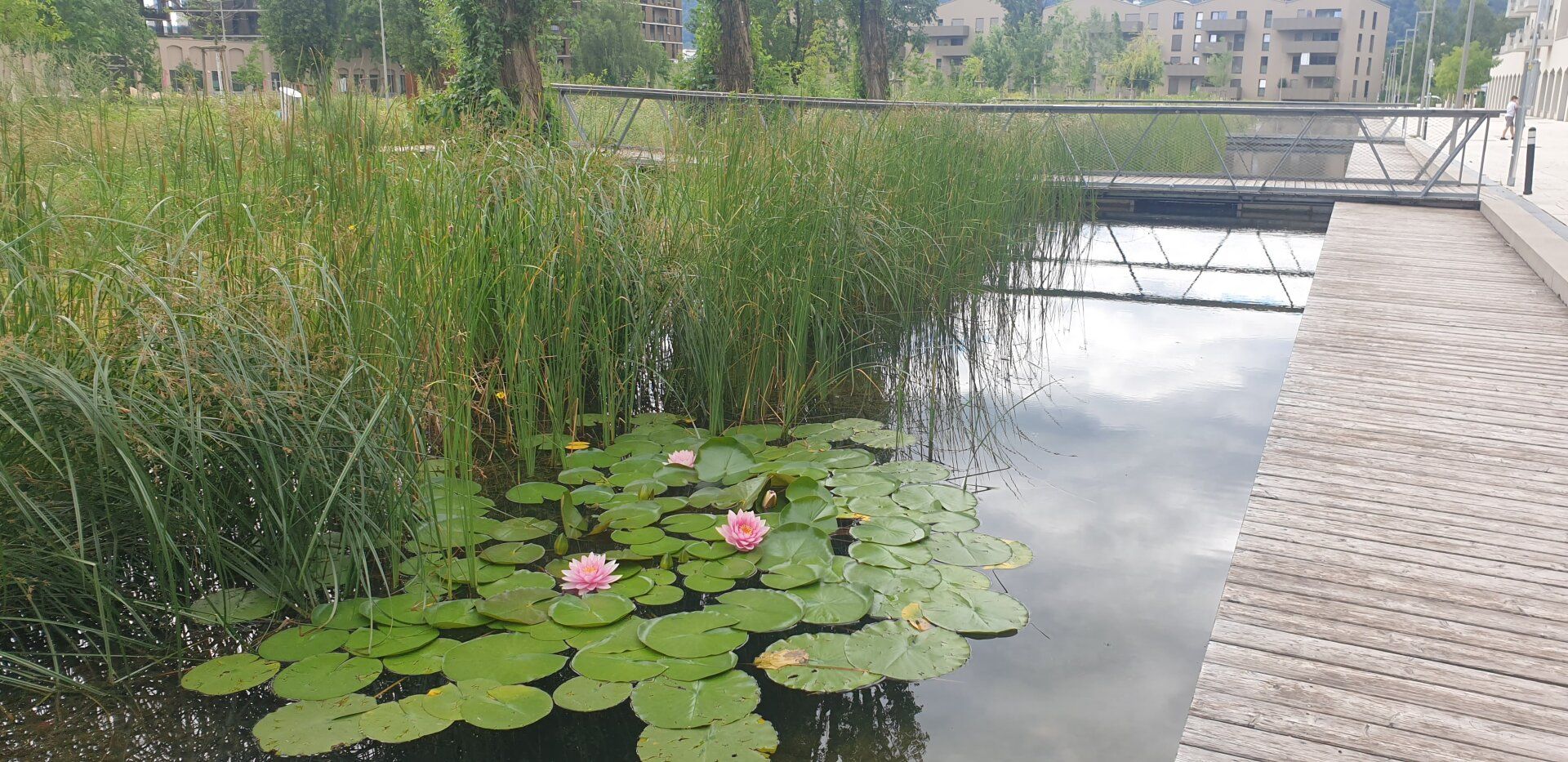 Charmante, komfortable 2 - Zimmerwohnung im Reininghaus Park