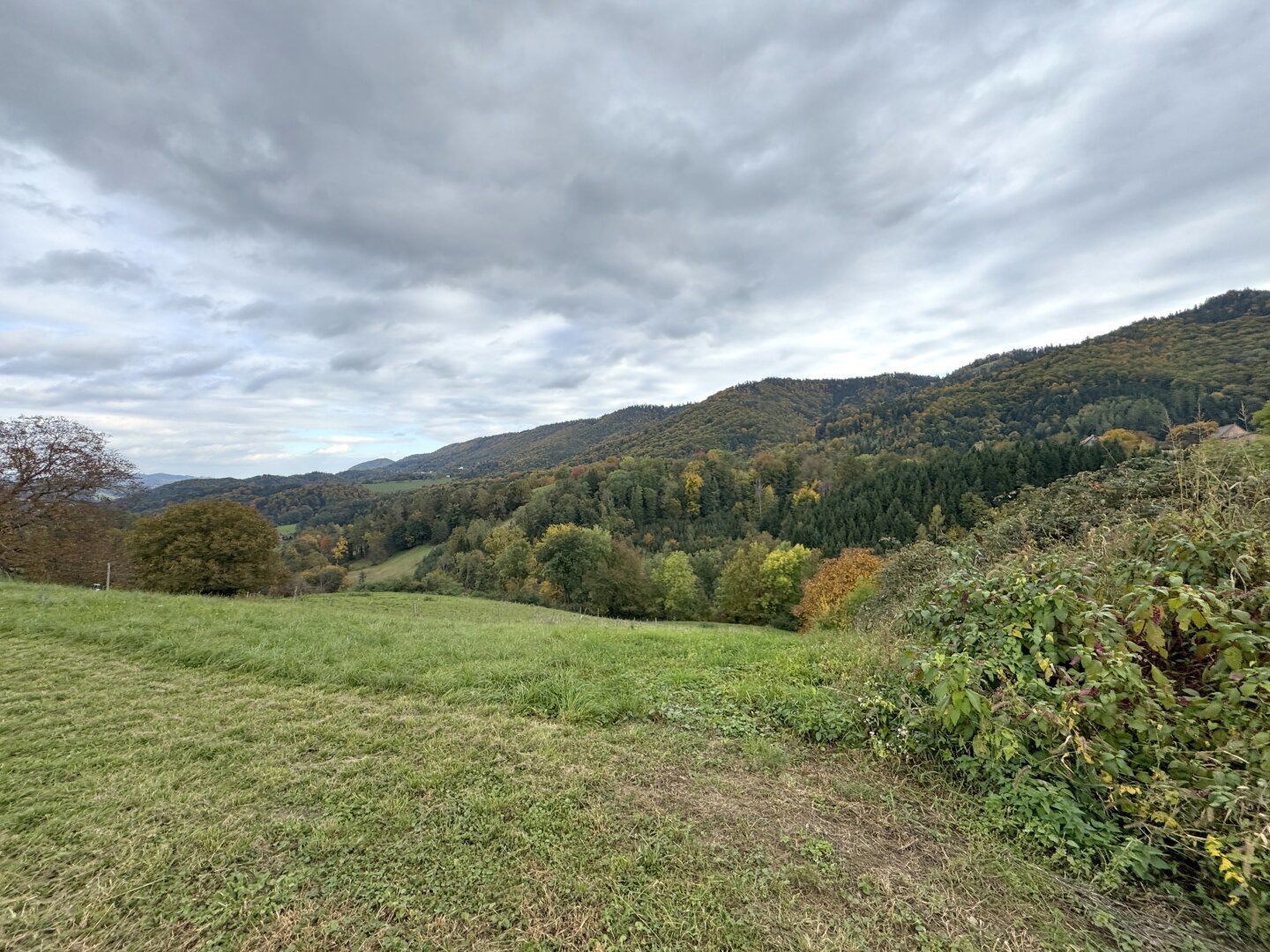 Ruhige Toplage mit sensationellem Panoramablick nahe Arnfels - Hardegg, ein Naturjuwel für Genießer, Familien & Investoren! - Ansicht 2