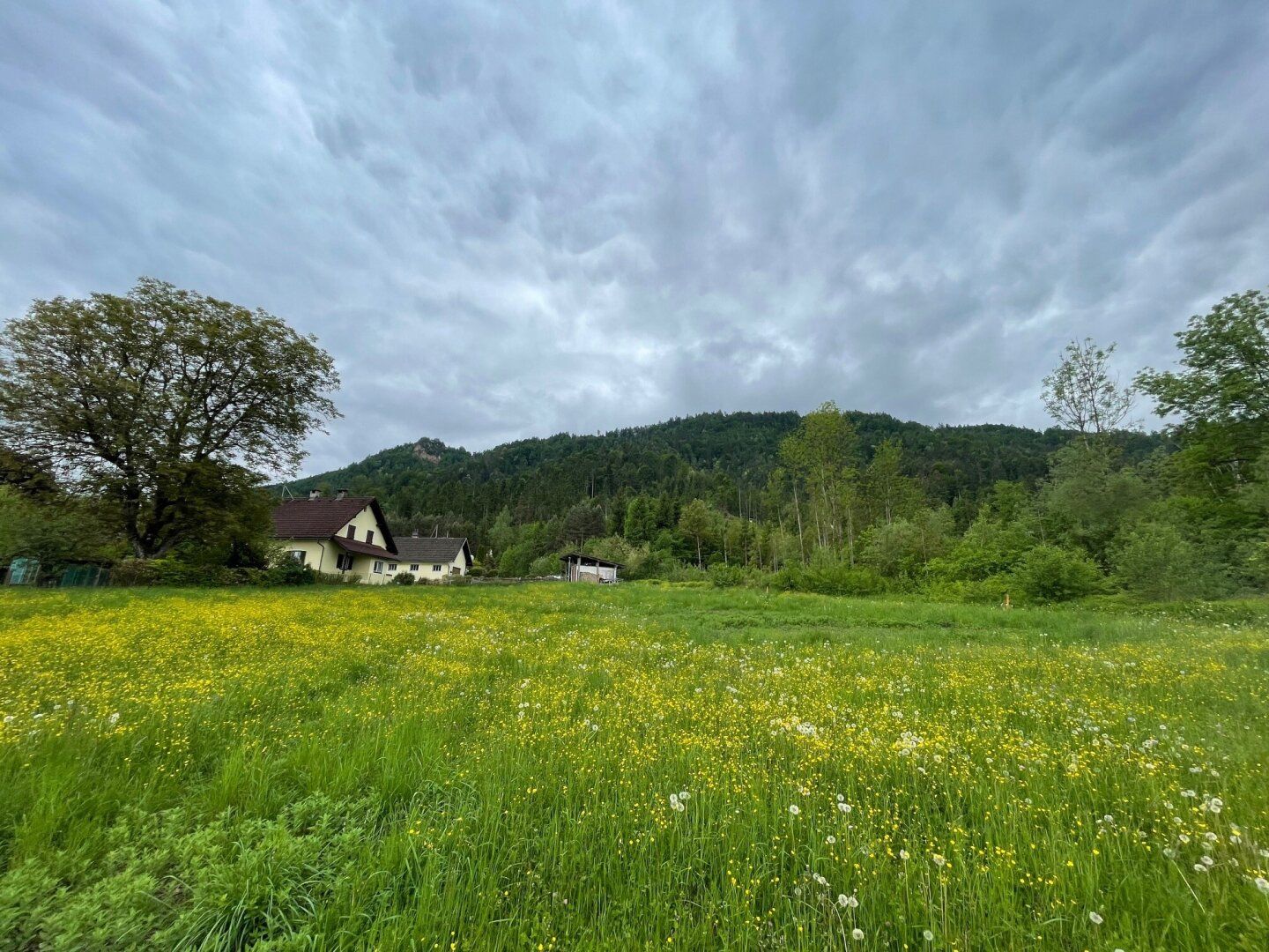 Ruhiges Landleben - Waldrand - Nähe Ferlach und Klagenfurt! - Ansicht 5