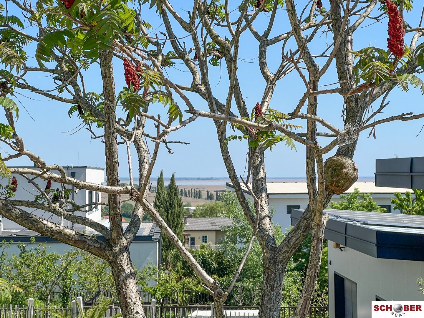 *NEU IM PROGRAMM* Moderner Bungalow - Urlaubsfeeling inklusive