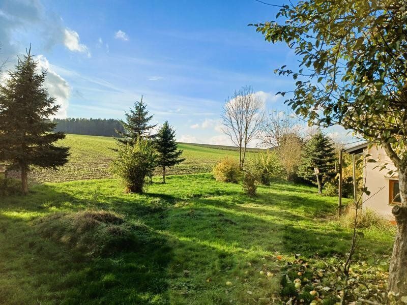 Baugrundstück mit Blick ins Grüne in ländlicher Ruhelage - Ansicht 5