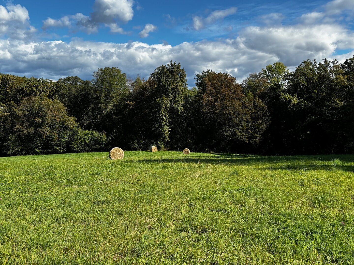 Baugrund G08 in ruhiger Aussichtslage, weitere Grundstücksgrößen verfügbar - Ansicht 4