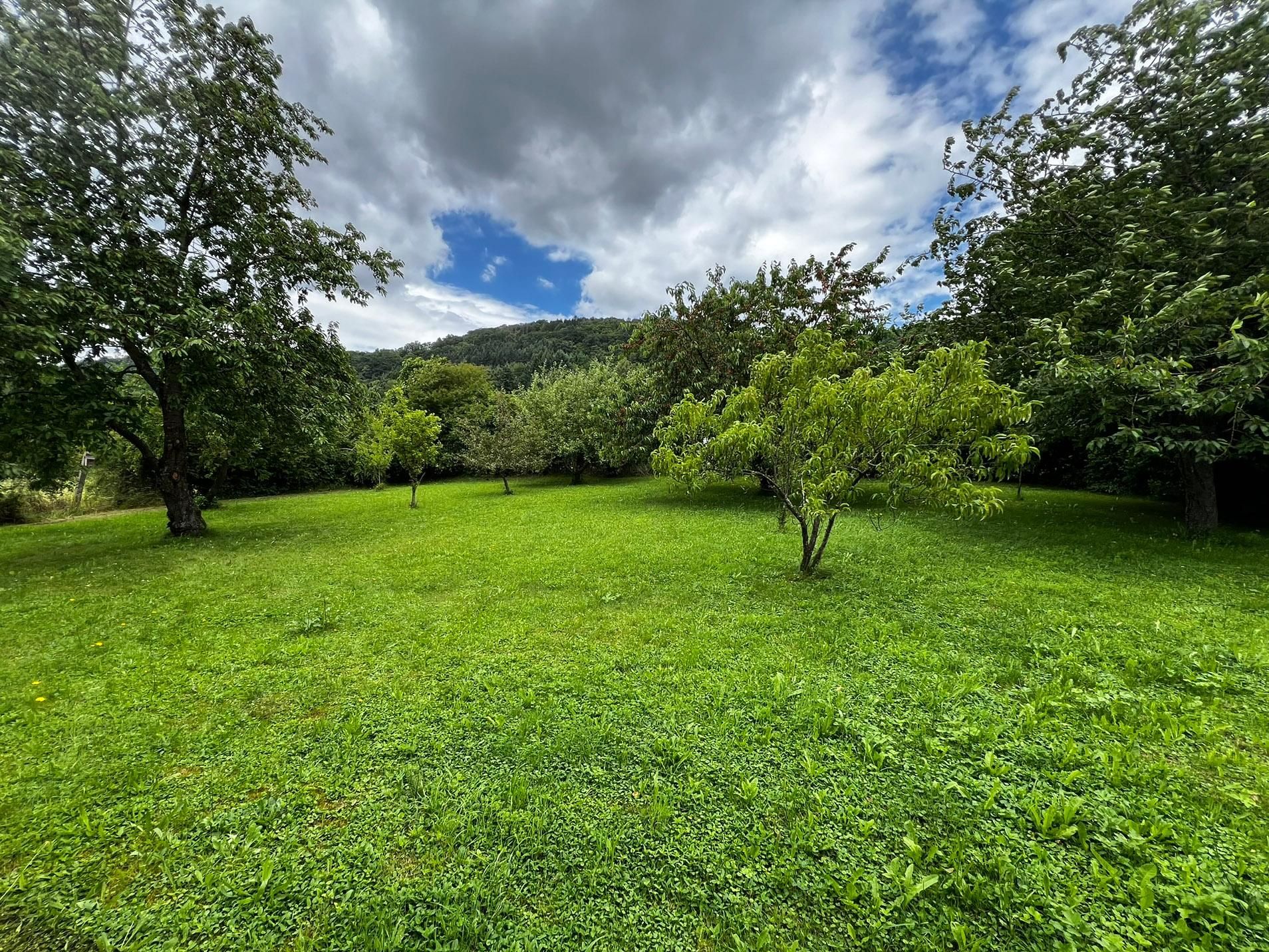 Charmantes Einfamilienhaus mit Blick auf Donau und großem Garten in Marbach!
