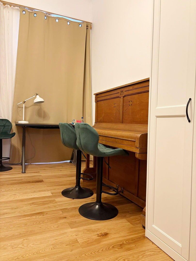JULI-OKTOBER: Möblierte & Renovierte 1,5-Zimmer-Wohnung mit Klavier, fußläufig zum Zentrum