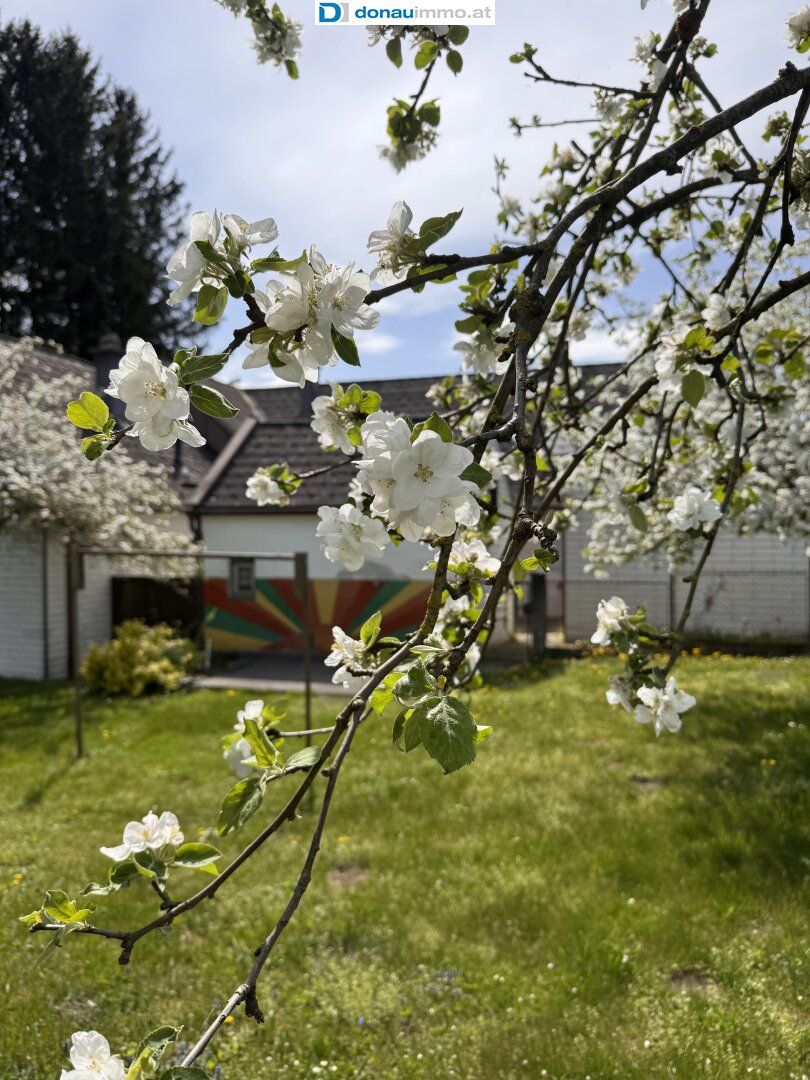 Ruhige Lage gesucht? Rd. 2.000 m² Grundstück samt Altbestand in der Nähe von St. Pölten!