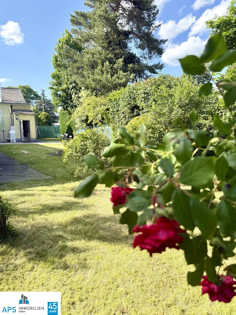 Herrliche Altbauvilla - absolute Grünruhelage - 190 m² Wfl. - 1.100 m² Garten mit Pool