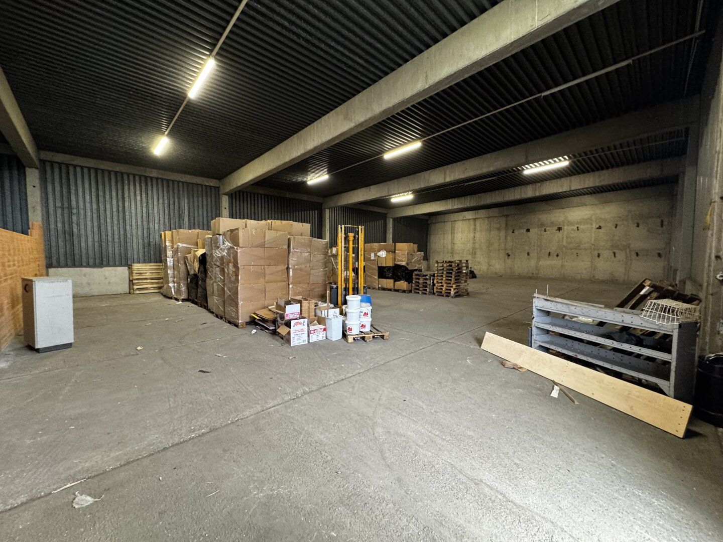 Moderne Halle mit 4 m Höhe und LKW-Zufahrt - ca. 355,5 m² im 21. Bezirk. Flexibel Nutzbar - Ansicht 3