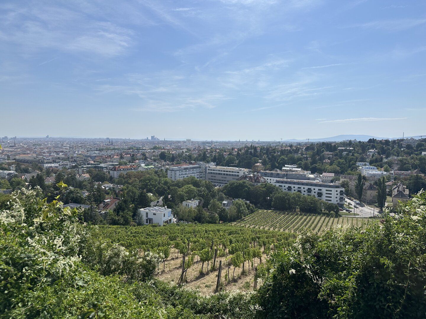 Wohnen im Grünen & doch stadtnah - Ihr neues Zuhause in Hernals