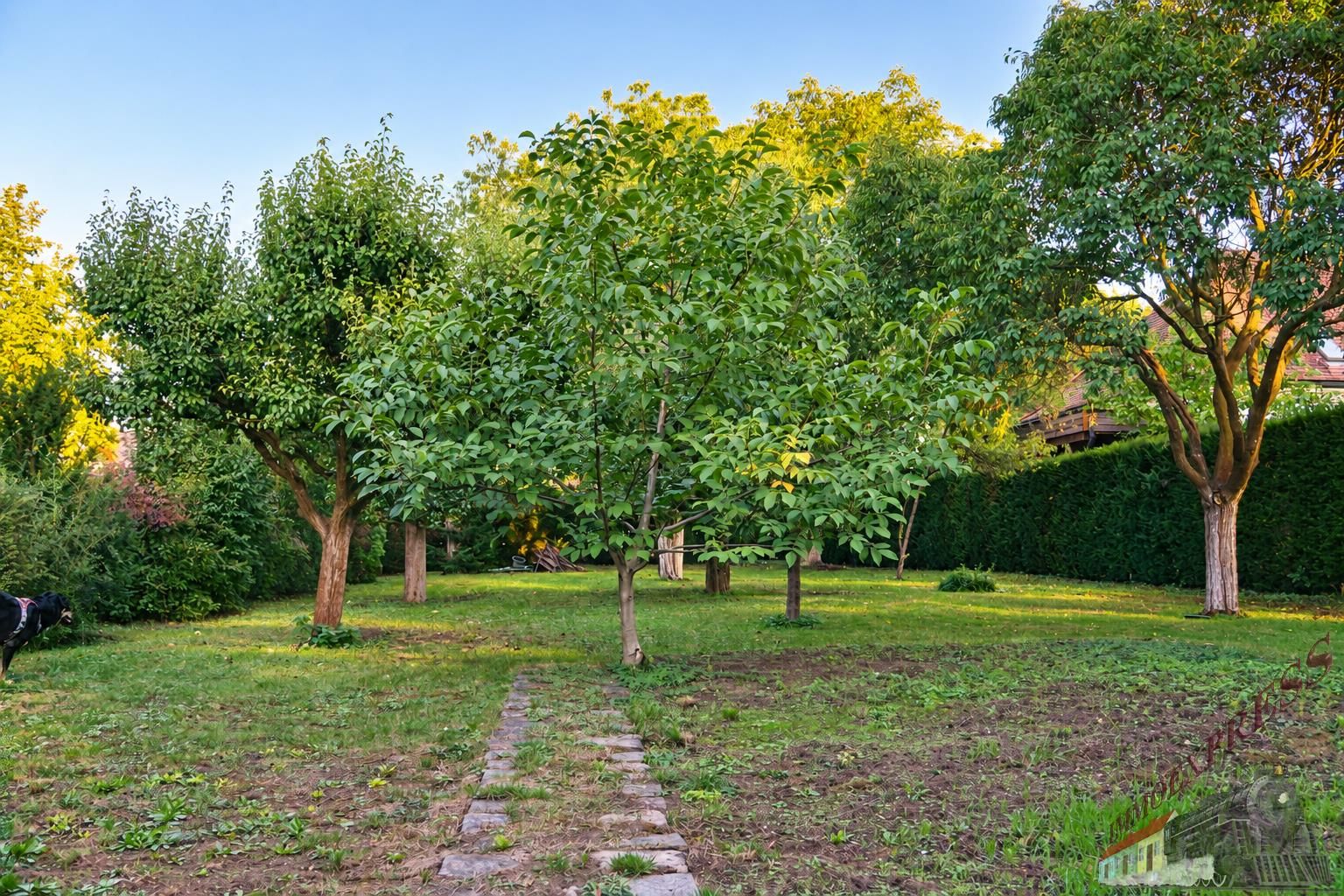 BAUGRUND MIT GARTENCHARAKTER - 781 m² IN WULLERSDORF