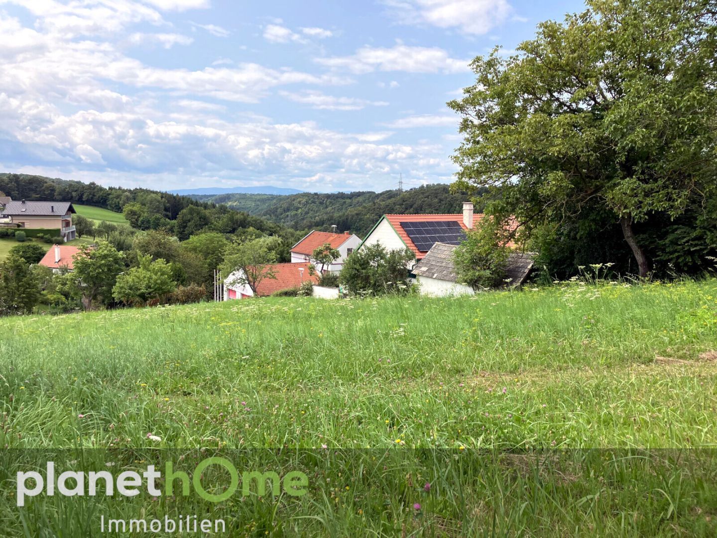 Bauland mit landwirtschaftlichem Gebäude und Altbaumbestand - Ansicht 5