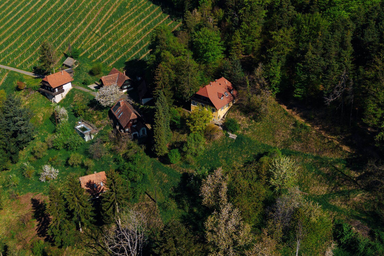 Außergewöhnliche Liegenschaft im Weinparadies - Ihre Visionen werden Realität!